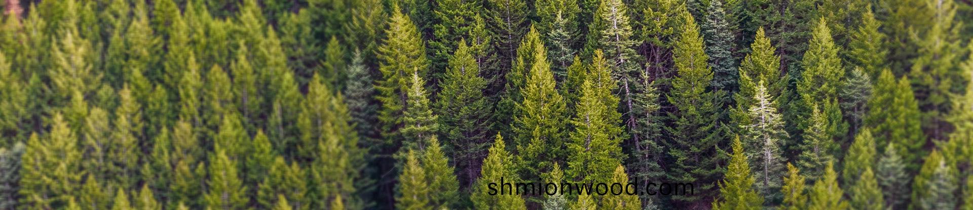 資(zi)質(zhi)證(zheng)書(shu)